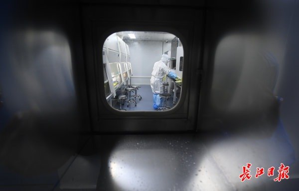 武汉“火眼”实验室开始试运行-肽度TIMEDOO