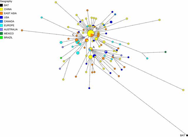 研究称新冠病毒更早版本在美国更常见,剑桥这篇论文有何结论?-肽度TIMEDOO