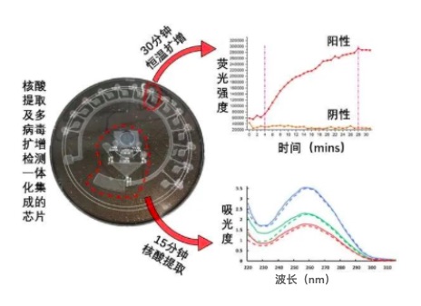 南京大学研发出全集成碟式微流控芯片,实现新冠病毒即时检测-肽度TIMEDOO