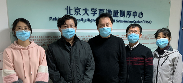 Cell | 北大携手多家单位研制新冠肺炎强效药 中和抗体成药有望-肽度TIMEDOO