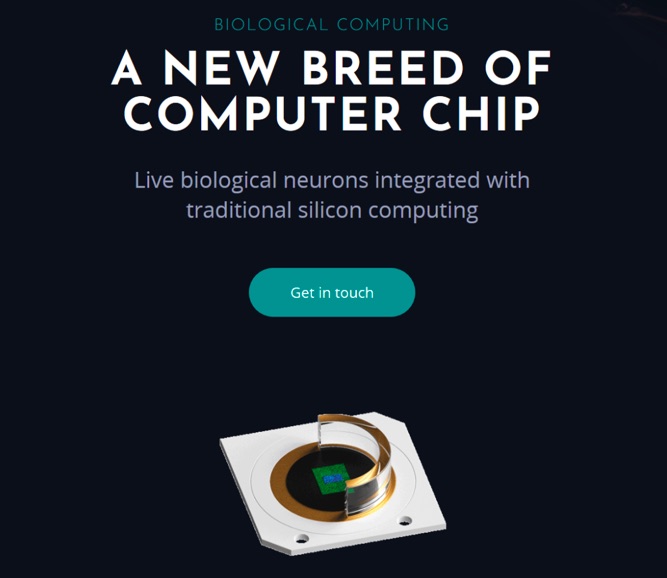 澳大利亚Cortical Labs：合成迷你大脑？利用人类神经元制造电脑芯片