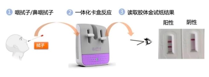 清华大学:推出新型核酸检测卡盒,半小时出结果,居家可测-肽度TIMEDOO
