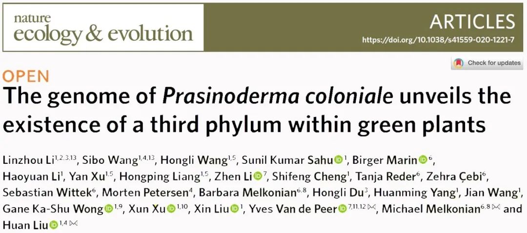 华大科学家联合国际多个团队首次发现绿色植物第三门——“华藻门”-肽度TIMEDOO