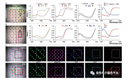 美国Tufts University:基于大面积高精度的生物传感进行生物分子的局域化检测-肽度TIMEDOO