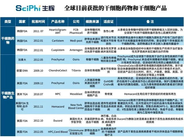 一甲子沉浮,“万能细胞”干细胞疗法还有多少种可能?丨纵横梳理-肽度TIMEDOO
