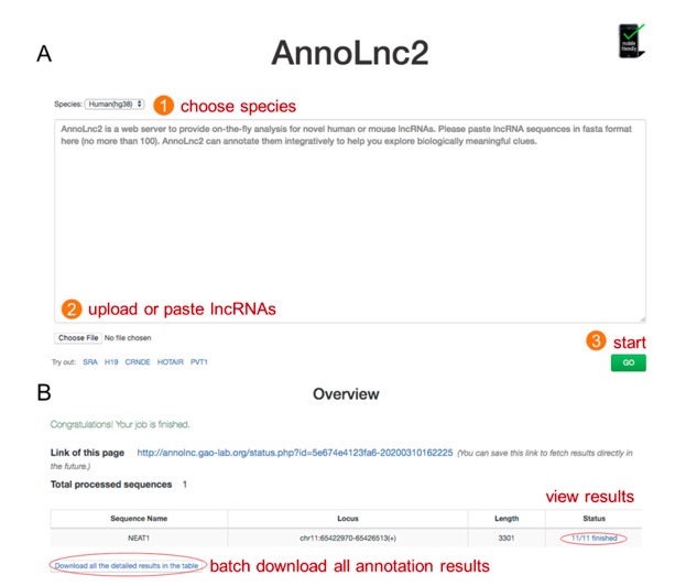 Nucleic Acids Research | 北京大学高歌团队开发长非编码RNA全面注释平台AnnoLnc2-肽度TIMEDOO