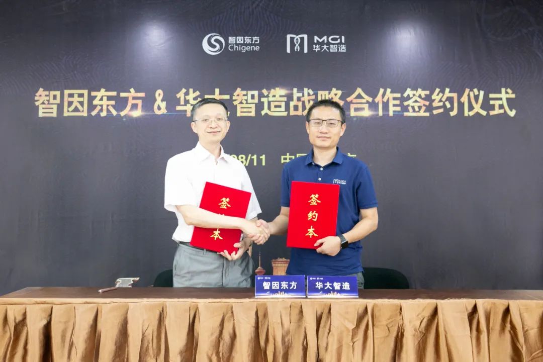 领航WGS诊断新时代！智因东方与华大智造签订战略合作协议-肽度TIMEDOO
