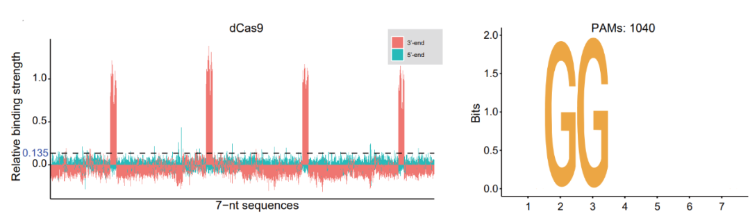 助力基础科研!十亿级通量的核酸蛋白互作平台发布!-肽度TIMEDOO