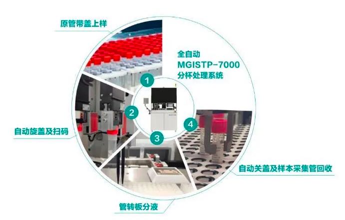 全程零接触，15秒完成单个新冠样本分装！全球首款全自动MGISTP-7000分杯处理系统正式获批上市！-肽度TIMEDOO