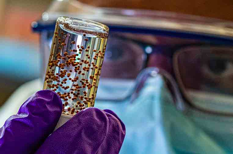 莱斯大学和贝勒医学院:开发藻酸盐生物材料用于干细胞输送保护载体,加强治疗效果-肽度TIMEDOO