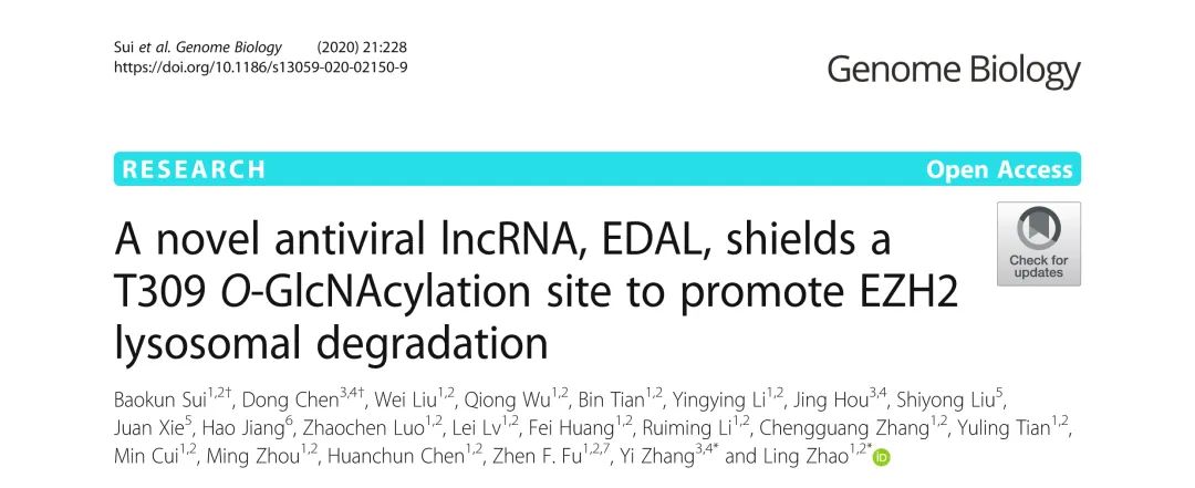 Genome Biol丨华中农大赵凌团队揭示新型抗病毒lncRNA EDAL促进EZH2溶酶体降解机制