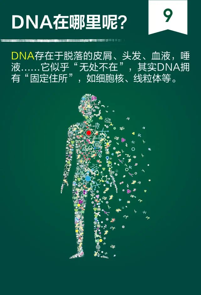 都在说核酸检测，你知道测的是什么吗？-肽度TIMEDOO