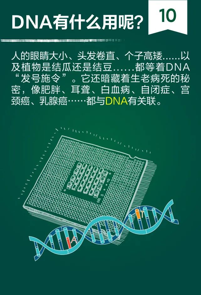 都在说核酸检测,你知道测的是什么吗?-肽度TIMEDOO