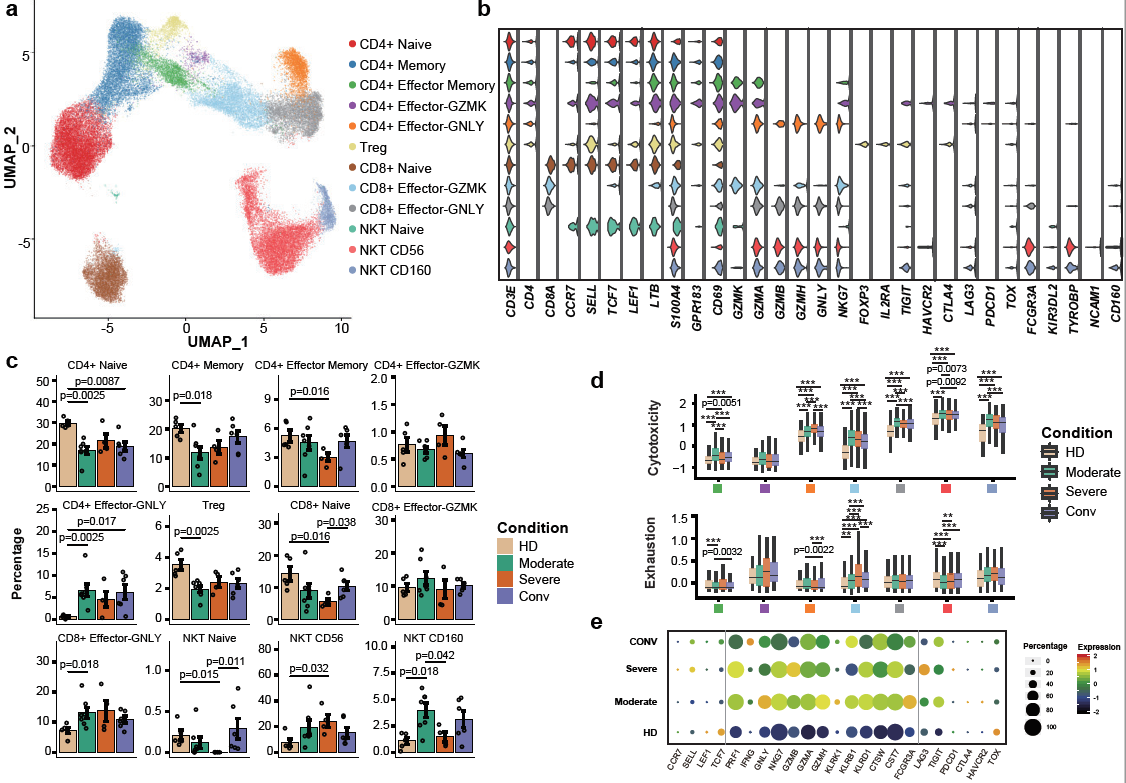 Nature immunoloy:新冠肺炎患者的单细胞免疫图谱-肽度TIMEDOO