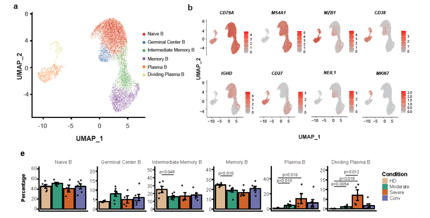 Nature immunoloy:新冠肺炎患者的单细胞免疫图谱-肽度TIMEDOO