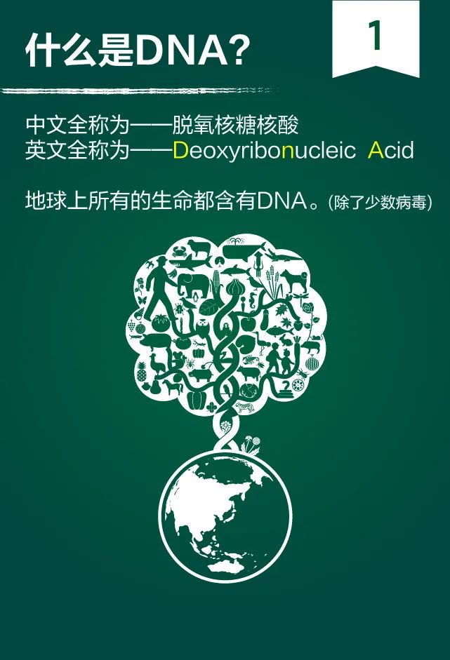 都在说核酸检测，你知道测的是什么吗？-肽度TIMEDOO