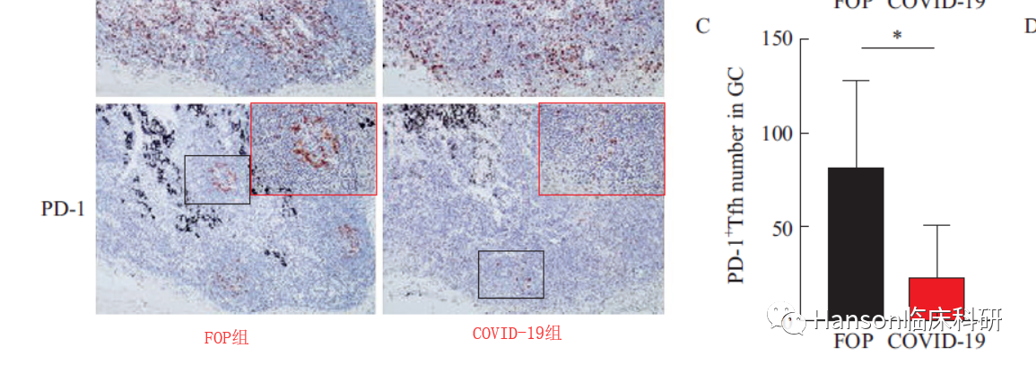 【Cell重磅】揭开再次感染新冠的机制，发现COVID-19病死患者未激发出生发中心-肽度TIMEDOO
