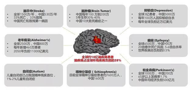 MIT和哈佛顶尖中国脑科学家回国创业,创建脑疾病平台!已部署多家三甲医院-肽度TIMEDOO