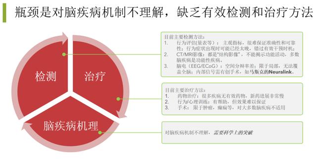MIT和哈佛顶尖中国脑科学家回国创业,创建脑疾病平台!已部署多家三甲医院-肽度TIMEDOO