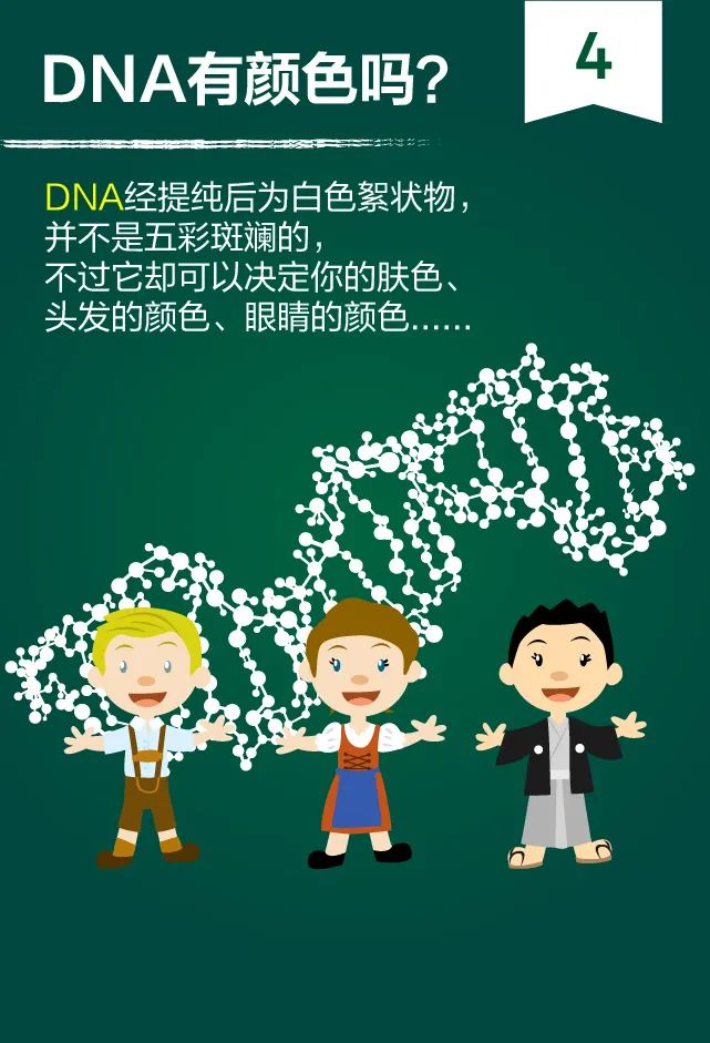 都在说核酸检测，你知道测的是什么吗？-肽度TIMEDOO