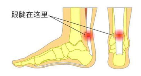 李天昊:易建联顶着疫情去美国,中美康复治疗差距这么大?-肽度TIMEDOO