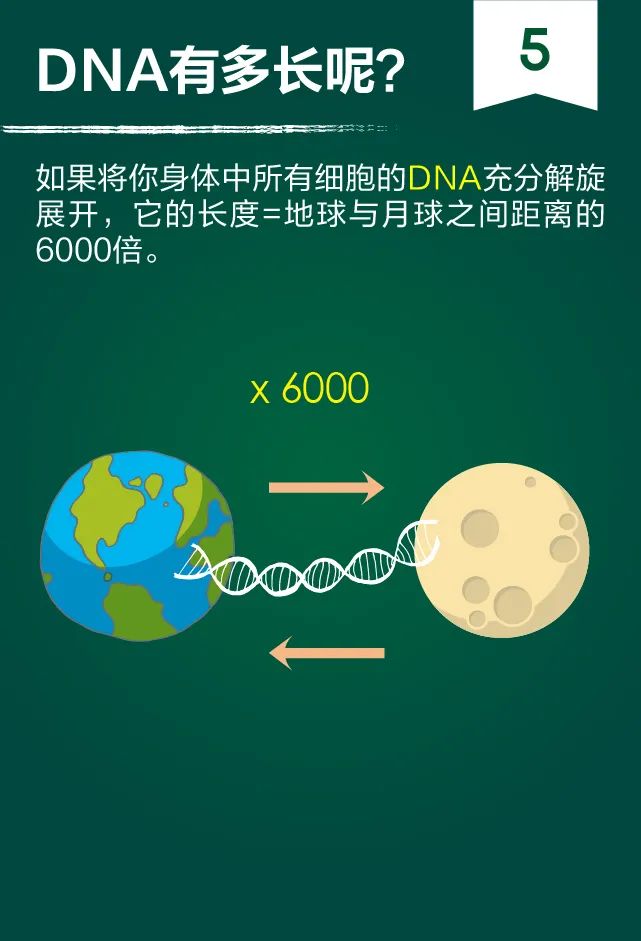 都在说核酸检测，你知道测的是什么吗？-肽度TIMEDOO
