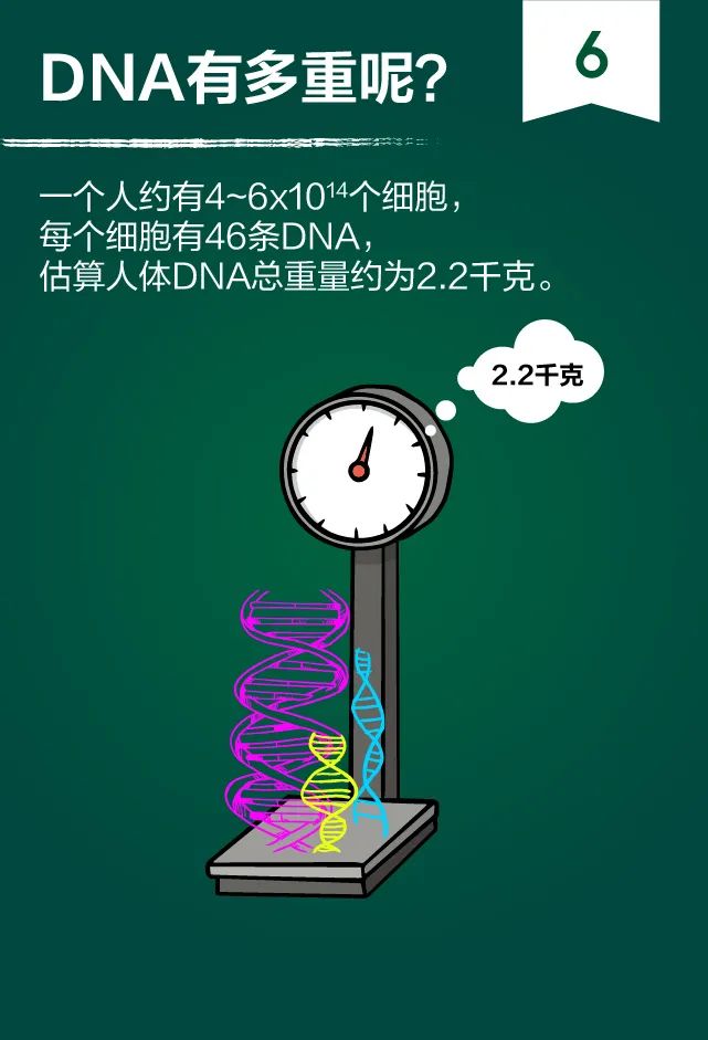 都在说核酸检测，你知道测的是什么吗？-肽度TIMEDOO