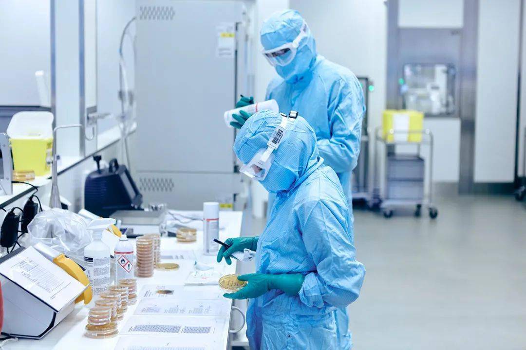 中国科学家补足癌症神奇疗法CAR-T致命短板,论文登肿瘤医学顶刊-肽度TIMEDOO
