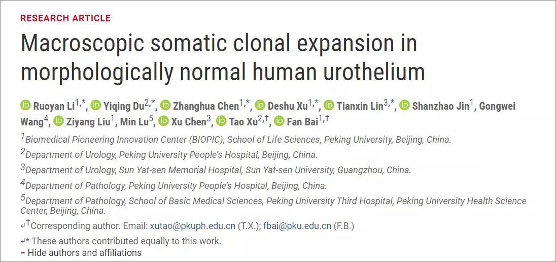 41ebb41d68bd45aa8a97885bf8e80d2c.jpg BIOPIC白凡课题组与人民医院徐涛课题组合作揭示癌旁正常上皮组织存在大量突变及克隆扩增-肽度TIMEDOO