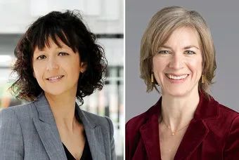 诺贝尔化学奖授予从事基因编辑的两位女科学家!一文详解这项划时代的生物技术-肽度TIMEDOO