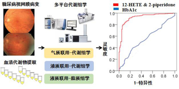 大连化学物理研究所:在糖尿病视网膜病变的早期发现研究中获进展-肽度TIMEDOO
