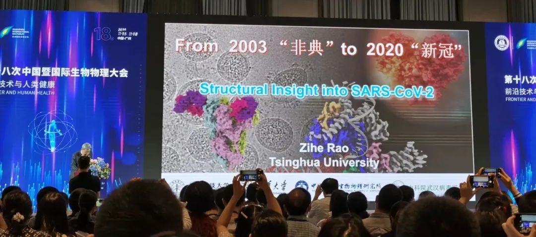 Cell+Nat Comm | 饶子和/娄智勇团队解答新冠病毒RNA延伸与帽结构合成的分子机制