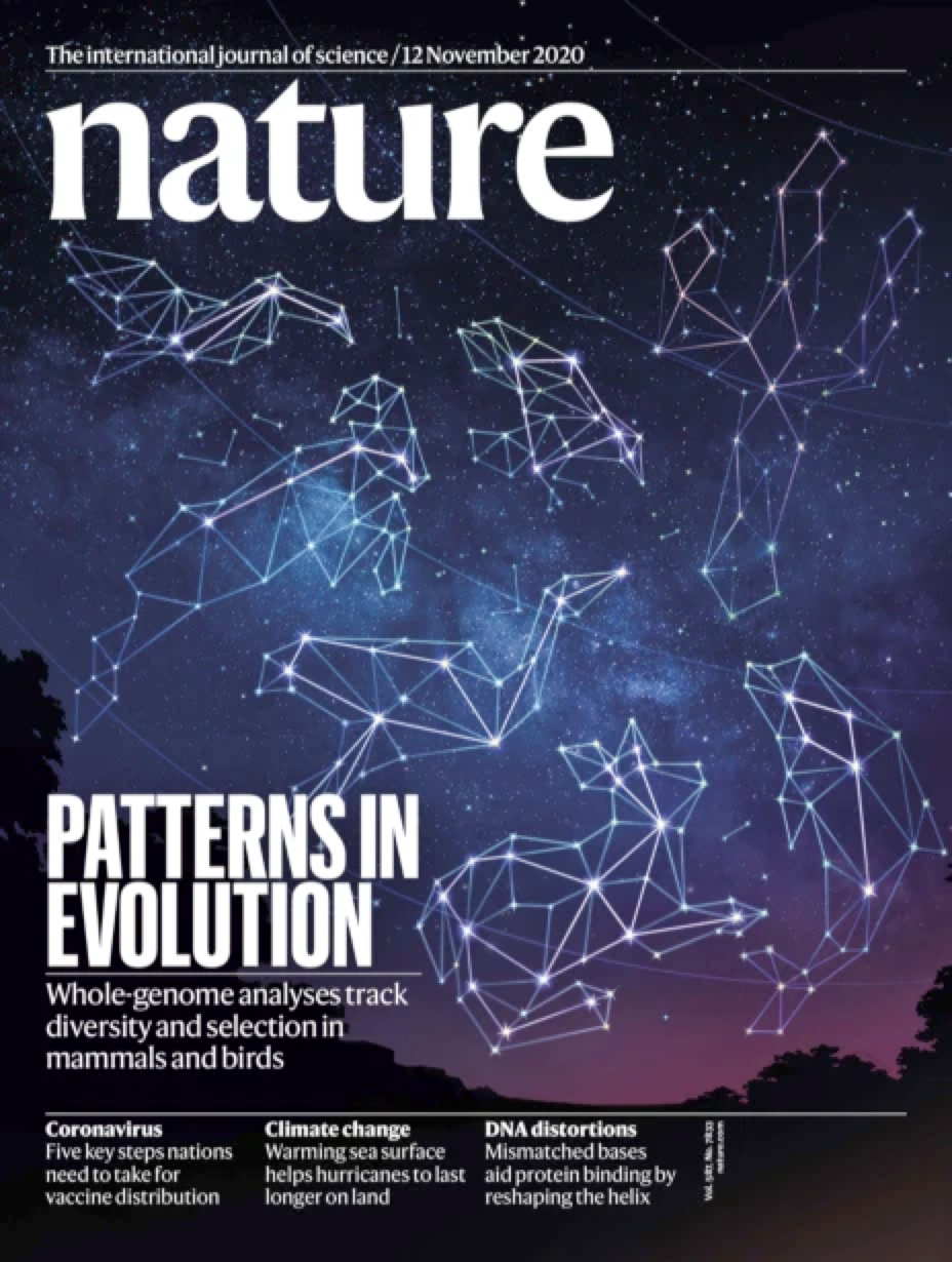华大等机构有关363种鸟类基因组数据研究登《Nature》封面!进一步揭示基因组多样性演化奥秘-肽度TIMEDOO