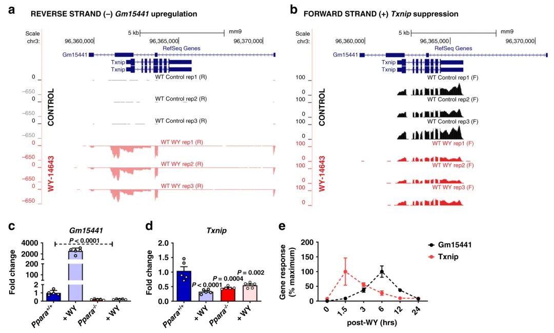 Nature子刊丨lncRNA Gm15441减弱肝炎性小体激活以响应PPARα激动剂和禁食-肽度TIMEDOO