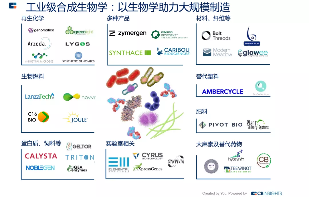 6国名校“豪华天团”论剑合成生物学,千亿新市场潜力!本世纪标志性新兴科技之一-肽度TIMEDOO