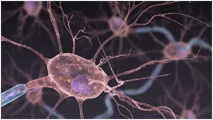 Science Advances：IGF2R调控“质子改道”赋予巨噬细胞抗炎潜能