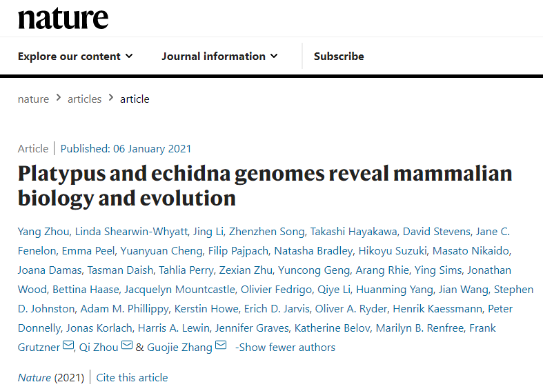 Nature：华大等机构揭示鸭嘴兽多条性染色体和卵生之谜