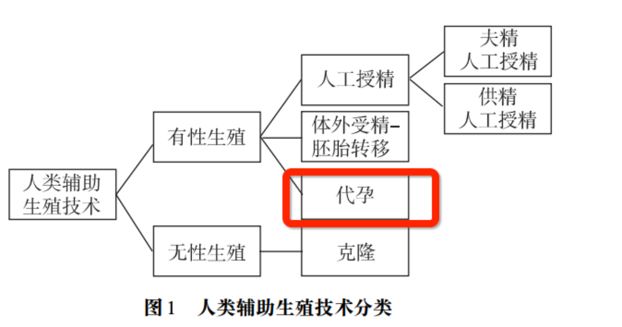 代孕的诱惑与困境-肽度TIMEDOO
