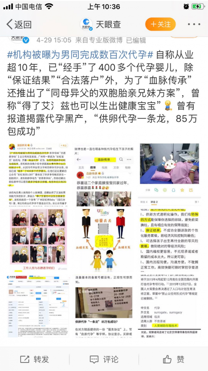 代孕的诱惑与困境-肽度TIMEDOO