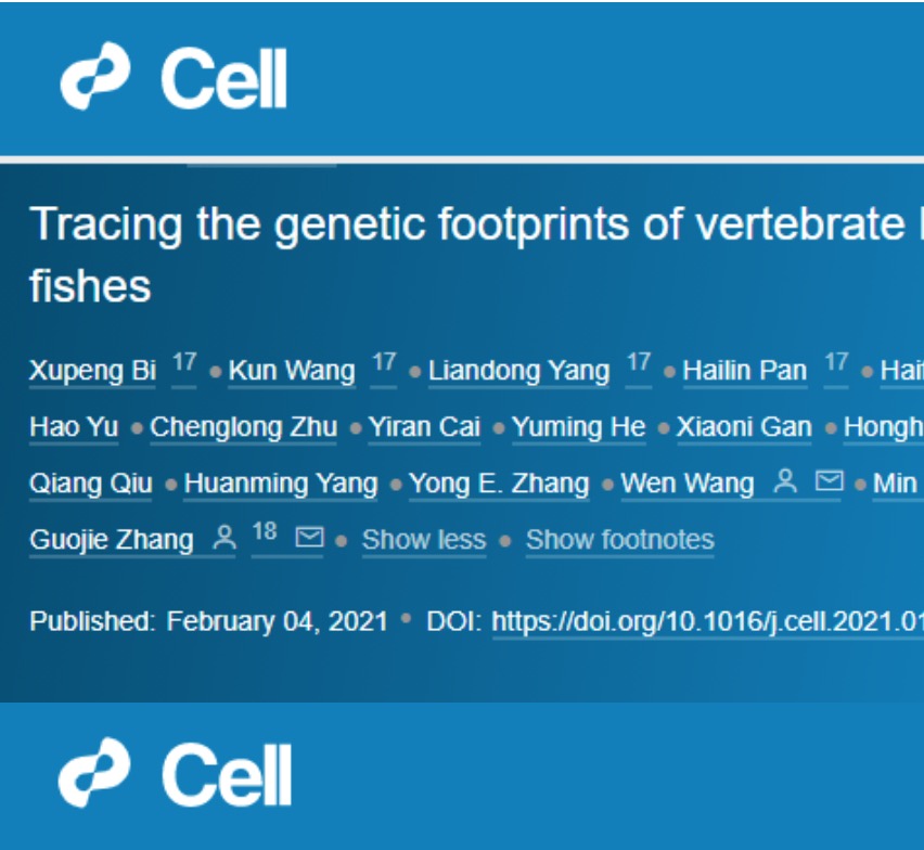 鱼是怎么爬上陆地的？华大等机构同期2篇Cell论文揭示脊椎动物从水生到陆生的演化之谜!