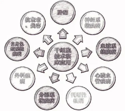 2021中国国际干细胞治疗暨抗衰老展览会 2021国际干细胞治疗暨抗衰老高峰论坛-肽度TIMEDOO