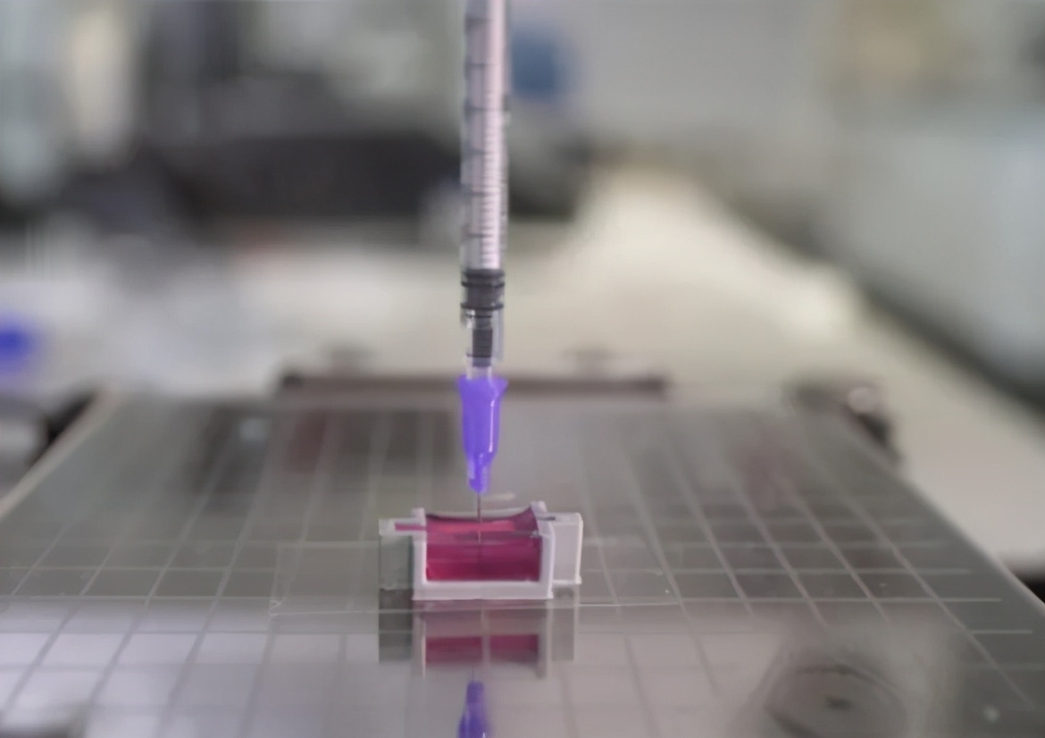 科学家使用新颖墨水，用3D打印带有活细胞的骨状结构