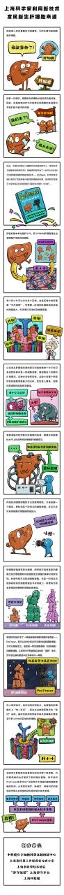 分子细胞卓越中心开发出细胞增殖示踪新技术并发现成体肝细胞来源-肽度TIMEDOO