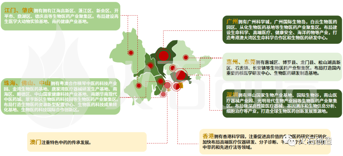 粤港澳大湾区生物医药产业协同创新发展研究