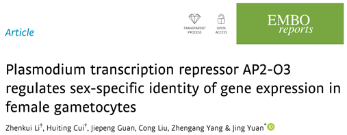厦门大学袁晶课题组在EMBO Reports发表研究论文,揭示疟原虫有性生殖中雌雄配子体性别决定的分子机制-肽度TIMEDOO