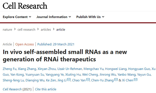 开启RNAi治疗新时代：南京大学团队创建体内自组装的新一代siRNA递送及基因治疗技术-肽度TIMEDOO