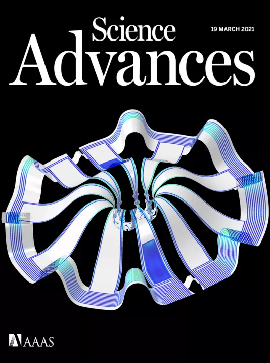 90后同济毕业生致力于修复受损大脑,研发可感知“微型脑”-肽度TIMEDOO