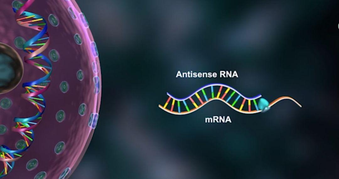 RNA疗法离我们有多远？