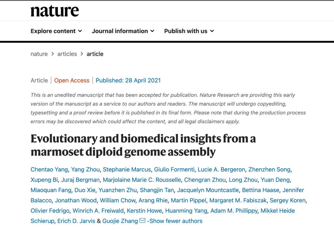 Nature：华大研究院解密狨猴二倍体遗传信息差异， 提出“完美基因组”新标准