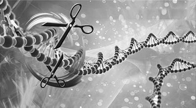 近七年追查 科学家找到守护“基因魔剪”的“暗物质”